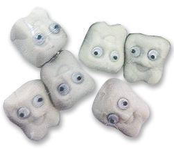 (image for) Molar Shaped Pencil Erasers with Googly Eyes